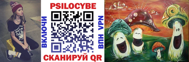 Псилоцибиновые грибы Psilocybine cubensis  Сибай 