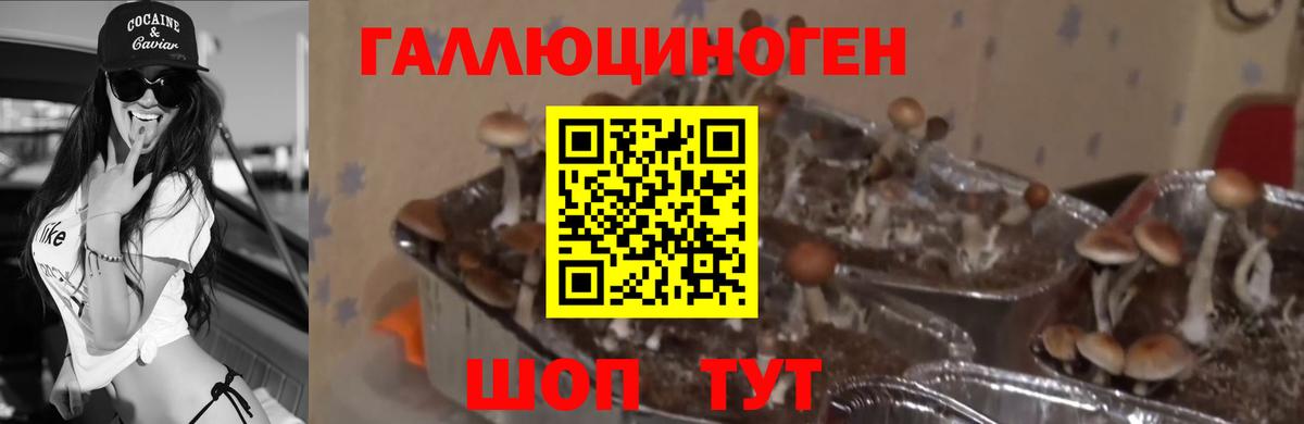 Галлюциногенные грибы ЛСД  Галлюциногенные грибы Magic Shrooms  Сибай 