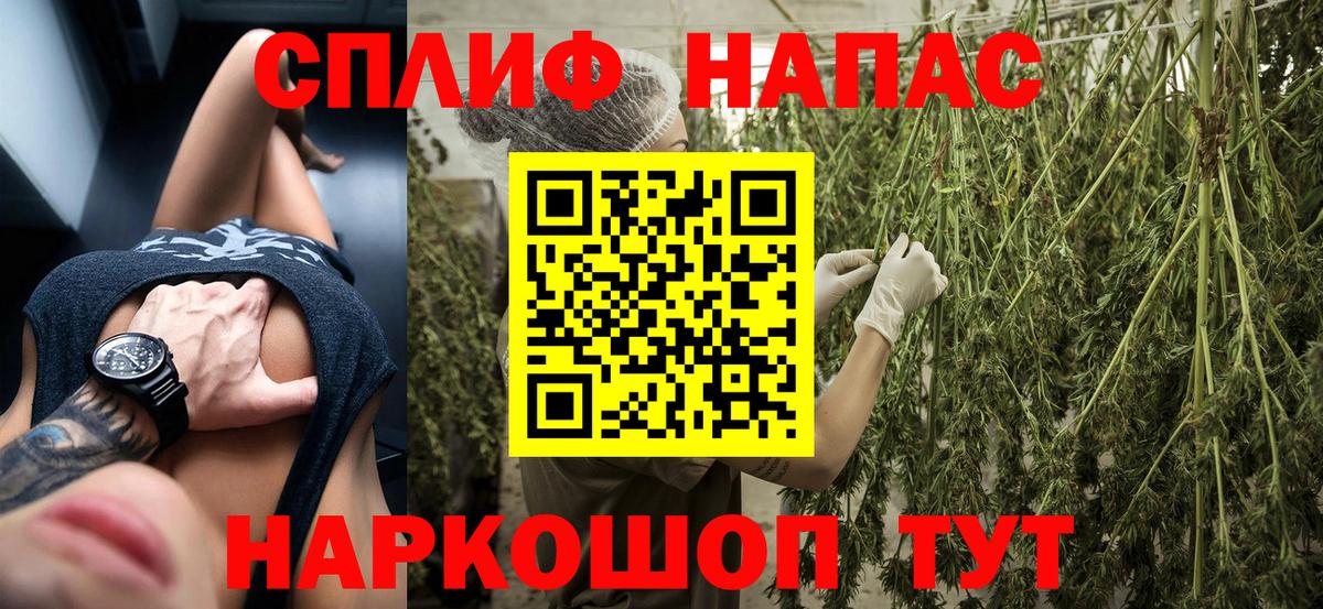 Каннабис ГИДРОПОН Сибай